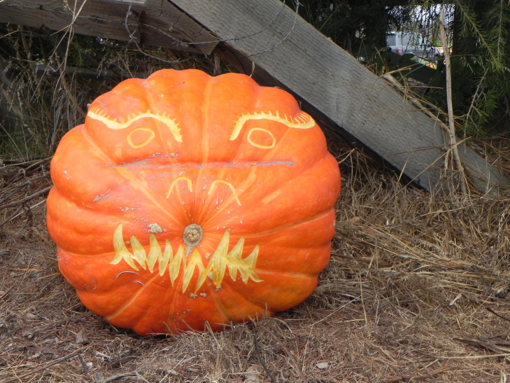 Dragon, Nipomo Pumpkin Patch best carving idea